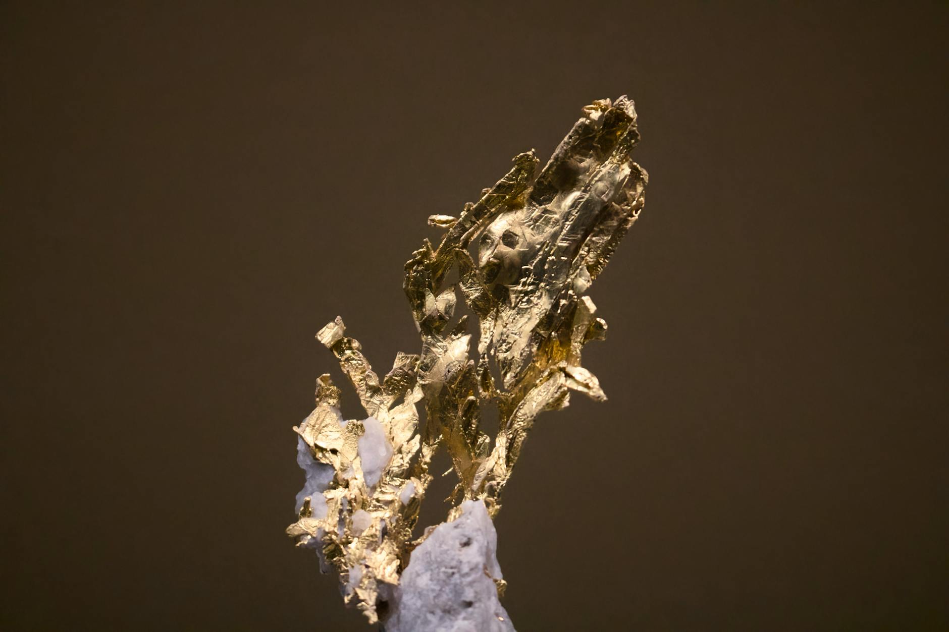 macro shot of natural gold mineral formation